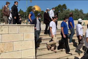  فلسطين| اقتحام المسجد الاقصى ومغتصبون يعتدون على مقدسيين
