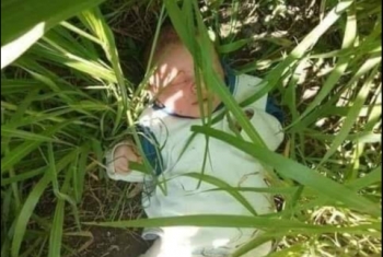  العثور على طفل رضيع بإحدى الأراضي الزراعية في كفر صقر