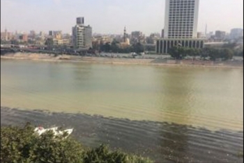  بالصور.. سيول البحر الأحمر تتجه إلى مياه النيل