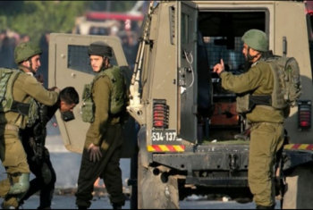  فلسطين.. قوات الاحتلال تعتقل 11 مواطنا من الضفة الغربية