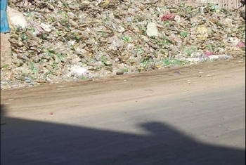  صور| جامعو القمامة يسيطرون على طريق الغار بالزقازيق