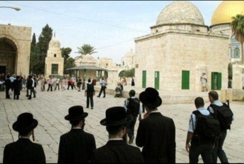  قطعان الصهاينة يقتحمون باحات المسجد الأقصى صباح اليوم
