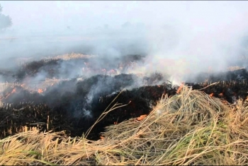  قرى الزقازيق تشكو مجددا حرق قش الأرز