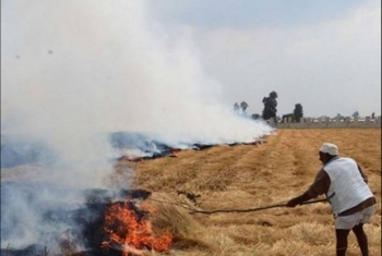  حرق قش الأرز في عز النهار بمنطقة مستشفى الأورام بالزقازيق