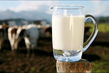  دراسة : الحليب كامل الدسم يقلل مخاطر الإصابة بمرض السكر