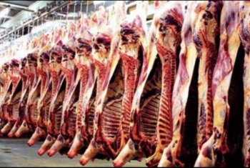  حكومة الانقلاب ترفع أسعار اللحوم السودانية لـ75 جنيهًا