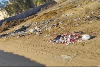  قرية في الحسينية تناشد بإزالة القمامة وتركيب كشافات إضاءة (صور)