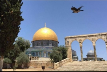  عمر يظهر في القدس (الحلقة الرابعة)
