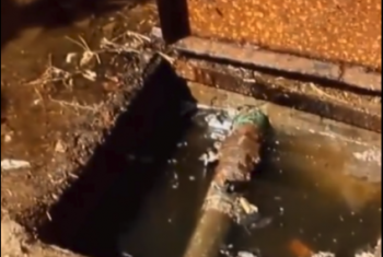  صفيطة الزقازيق تغرق في مياه الصرف الصحي