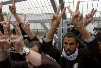  مظاهرة في النمسا دعمًا لإضراب المعتقلين الفلسطينيين في سجون الاحتلال