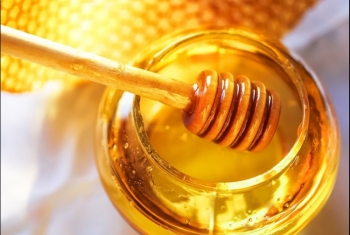  عسل النحل يحارب الهالات السوداء