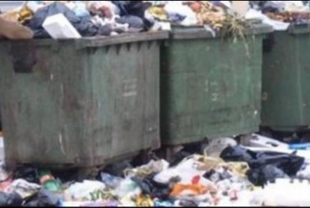  أبوحماد.. انتشار القمامة بمدخل قرية «الإسدية»