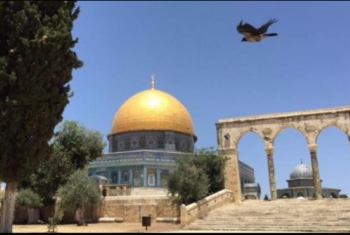  عمر يظهر في القدس (الحلقة الخامسة)