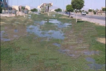  جهاز العاشر من رمضان يغرق المسطحات الخضراء بالمياه لمنع تجمع المواطنين