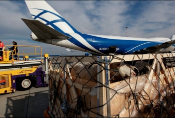  طائرات مغربية محملة بالمواد الغذائية إلى قطر‎