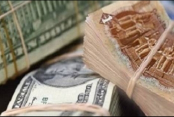  الجنيه المصري يواصل الانخفاض أمام الدولار  في السوق السوداء