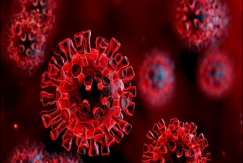  تحذير من سلالة فيروس كورونا الجديدة