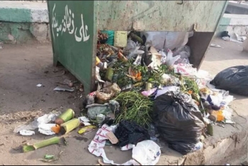  بالصور.. القمامة تحتل شوارع أبو حماد دون وجود للمسئولين