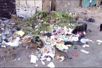  أكوام القمامة تتسبب في انتشار الحيوانات الضالة بأبوكبير