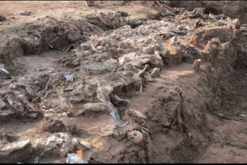  العثور على مقبرة جماعية لضحايا داعش شمال الفلوجة