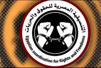  منظمات حقوقية تعلن تضامنها مع نشطاء التنسيقية المصرية