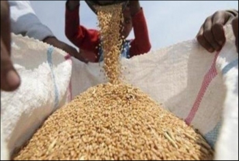  القبض على 3 موظفين بإدارة الصالحية الزراعية في وقائع مافيا القمح