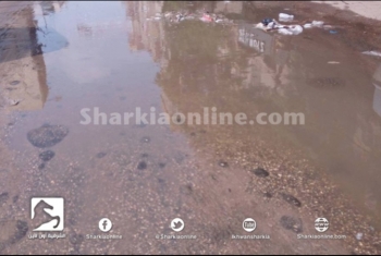  بالصور شوارع بلبيس تغرق في مياه الصرف الصحي