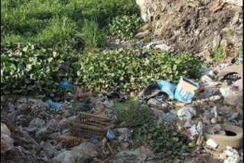  أهالي ميت بشار يشتكون من تراكم  القمامة بمدخل القرية
