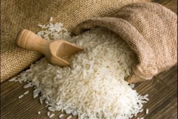  مسئول زراعي: كارثة جديدة تنتظر المصريين في الأرز