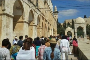 مفتي القدس يندد بإقامة حفل زفاف لصهاينة داخل 