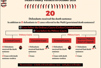  المبادرة المصرية: 20 حكمًا بالإعدام في مصر الشهر الماضي