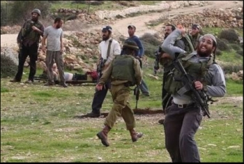  قطعان المستوطنين تقتحم قرية منفذ عملية مستوطنة حلميش