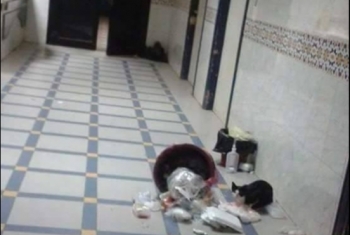  انتشار القمامة والقطط الضالة بمستشفى ديرب نجم المركزى
