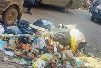  انتشار الروائح الكريهة والحشرات بسبب القمامة  في شوارع بلبيس