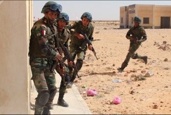  موقع صهيوني: اتجاه لإرسال قوات مصرية وإماراتية إلى سوريا