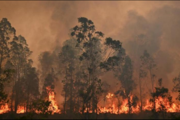  وفاة 4 مصريين بقبرص جراء حرائق الغابات
