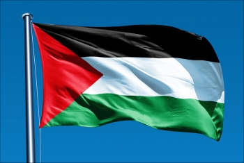  دبلن تتضامن مع فلسطين برفع علمها لمدة شهر