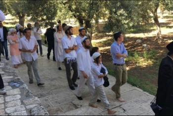  مجموعات من الصهاينة يجددون اقتحامهم للمسجد الأقصى