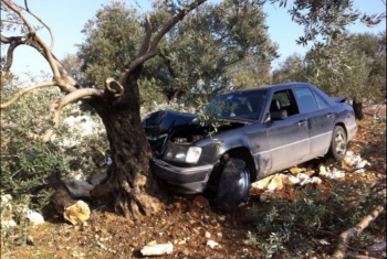  بالأسماء.. إصابة خمسة مواطنين في تصادم سيارة بشجرة في أبوحماد