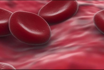  ما هى وظيفة الصفائح الدموية فى جسم الإنسان؟