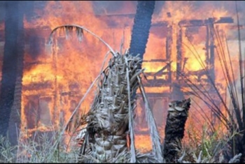  فاقوس.. حريق في مزرعة دواجن يلتهم 250 بطة