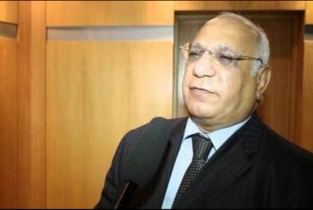  أستاذ بجامعة القاهرة: الجيش والقضاء أعداء النظم الإسلامية