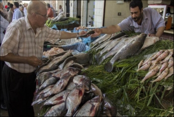  شعبة الأسماك تحذر من استمرار ارتفاع الأسعار