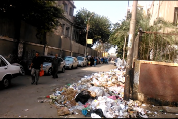  انتشار الحشرات والحيوانات نتيجة تراكم القمامة بشارع بور سعيد بمدينة بلبيس