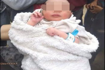  العثور على طفل حديث الولادة بمقابر غيتة في بلبيس