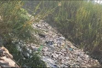 أهالي عزبة السعدي في الحسينية يستغيثون من انتشار أكوام القمامة