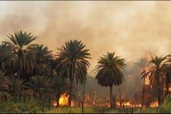  حريق في أرض زراعية بعزبة العرب في الزقازيق