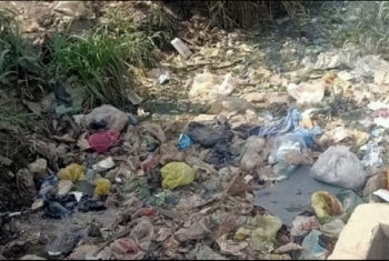  شكاوى من انتشار القمامة بمدخل عزبة في منيا القمح