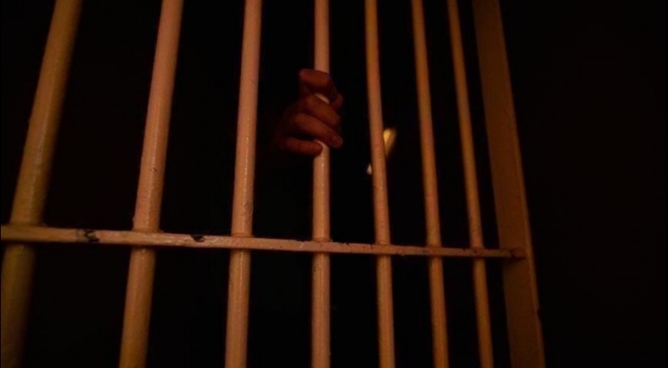 حجز قضايا 4 معتقلين بالزقازيق للحكم 29 يناير 