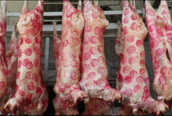  زيادة أسعار اللحوم البلدي 10%